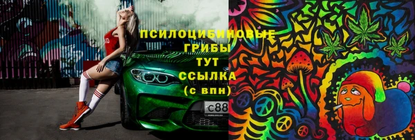 первитин Алексеевка