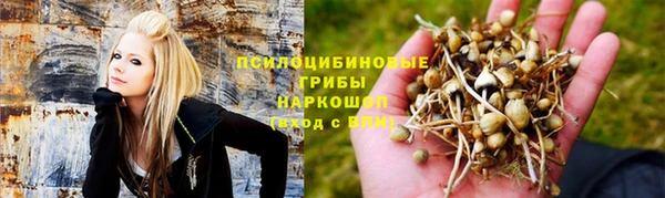 прущая мука Алзамай