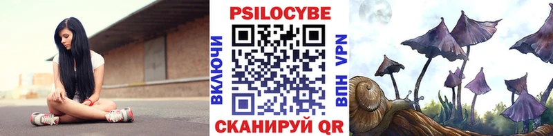 Псилоцибиновые грибы Magic Shrooms  Санкт-Петербург 