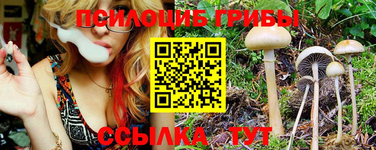 Псилоцибиновые грибы ЛСД Санкт-Петербург