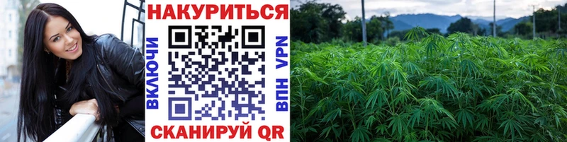 где купить наркотик  Санкт-Петербург  Шишки марихуана сатива 